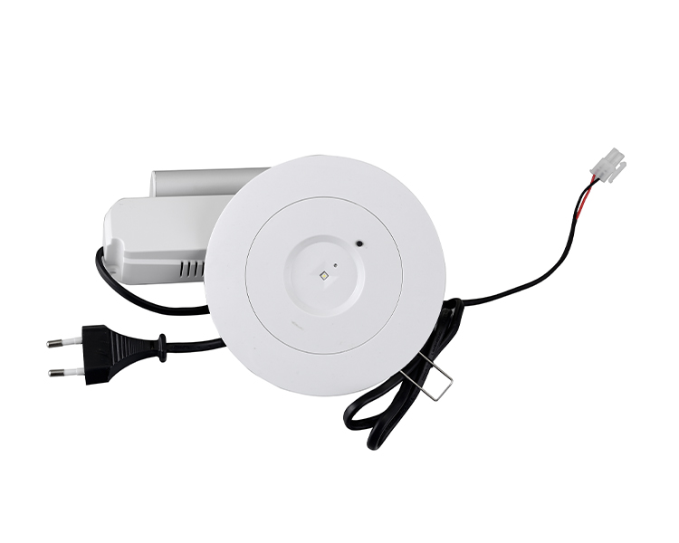 D40-R-2 LEDダウンライト緊急器具