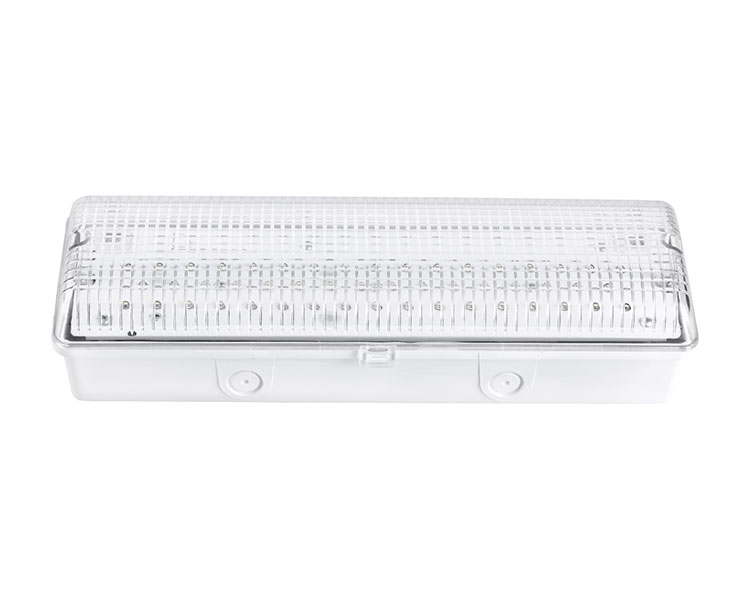 LE502L IP65 50LED防水緊急灯