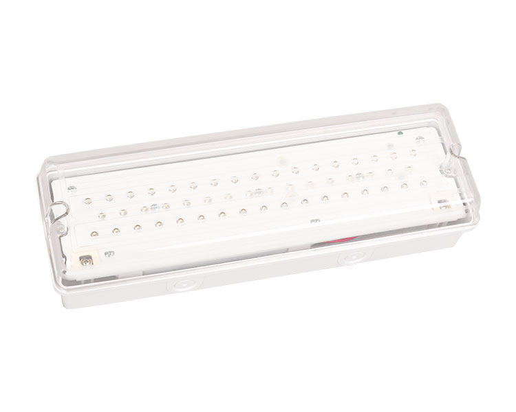 LE502L IP65 50LED防水緊急灯