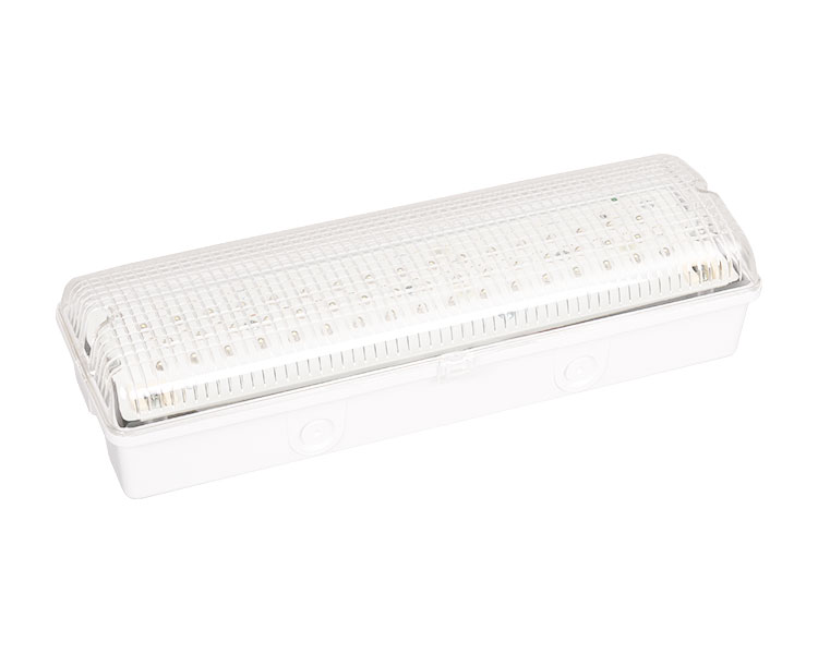 LE502L IP65 50LED防水緊急灯