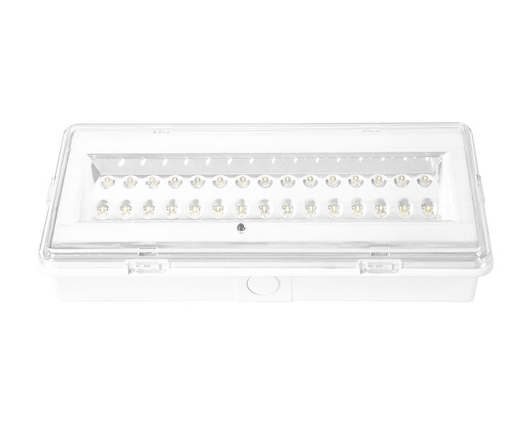 LE503LメンテナンスされていないLED防水緊急ランプ